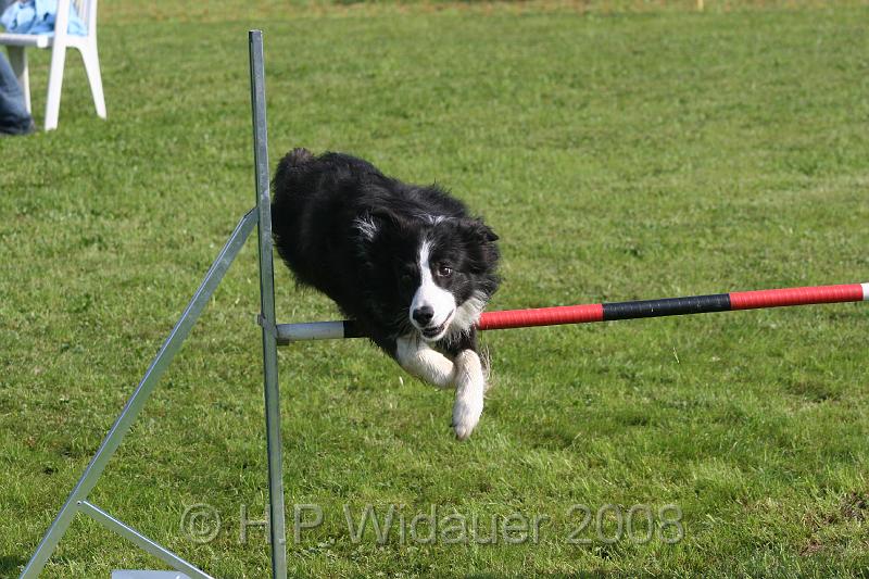 jubil.lusten. 117.jpg